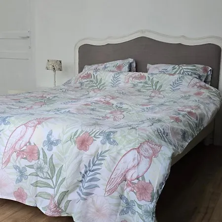 Maison Typique Nord De La France Vakantiehuis Tourcoing